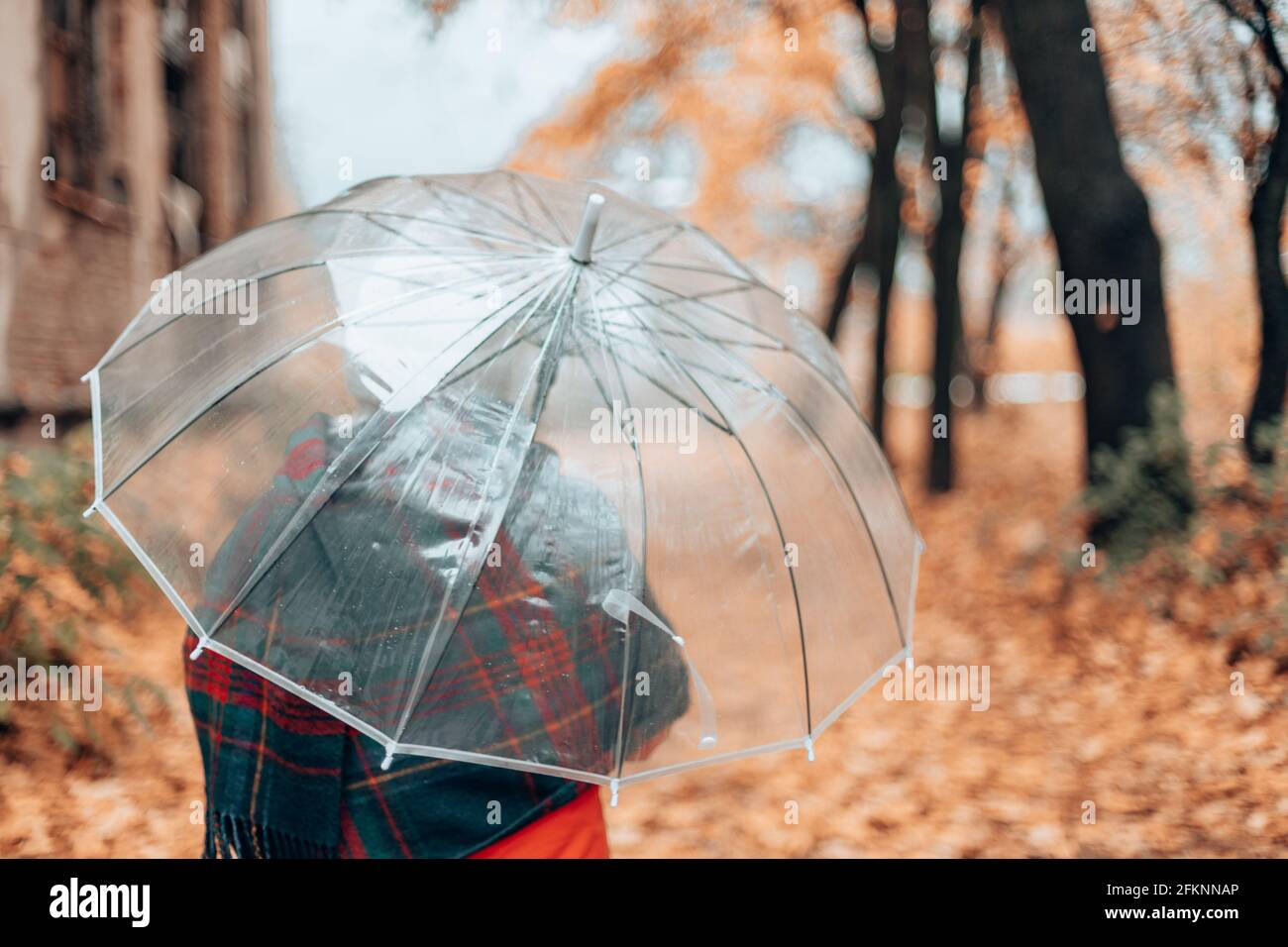Retrato de una mujer adulta en un sombrero blanco y una cálida bufanda bajo  un paraguas transparente en un parque de otoño al aire libre. Alfombra de  oro que cae las hojas