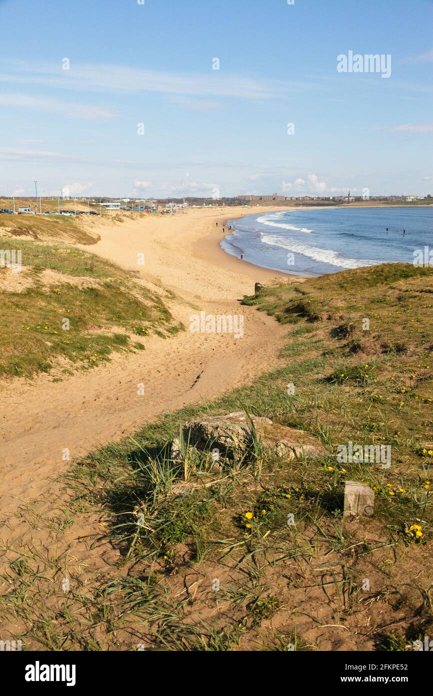 Camino que conduce a la playa dorada de Sandhaven en South Shields, South Tyneside en la costa del Mar del Norte en el noreste de Inglaterra. Foto de stock
