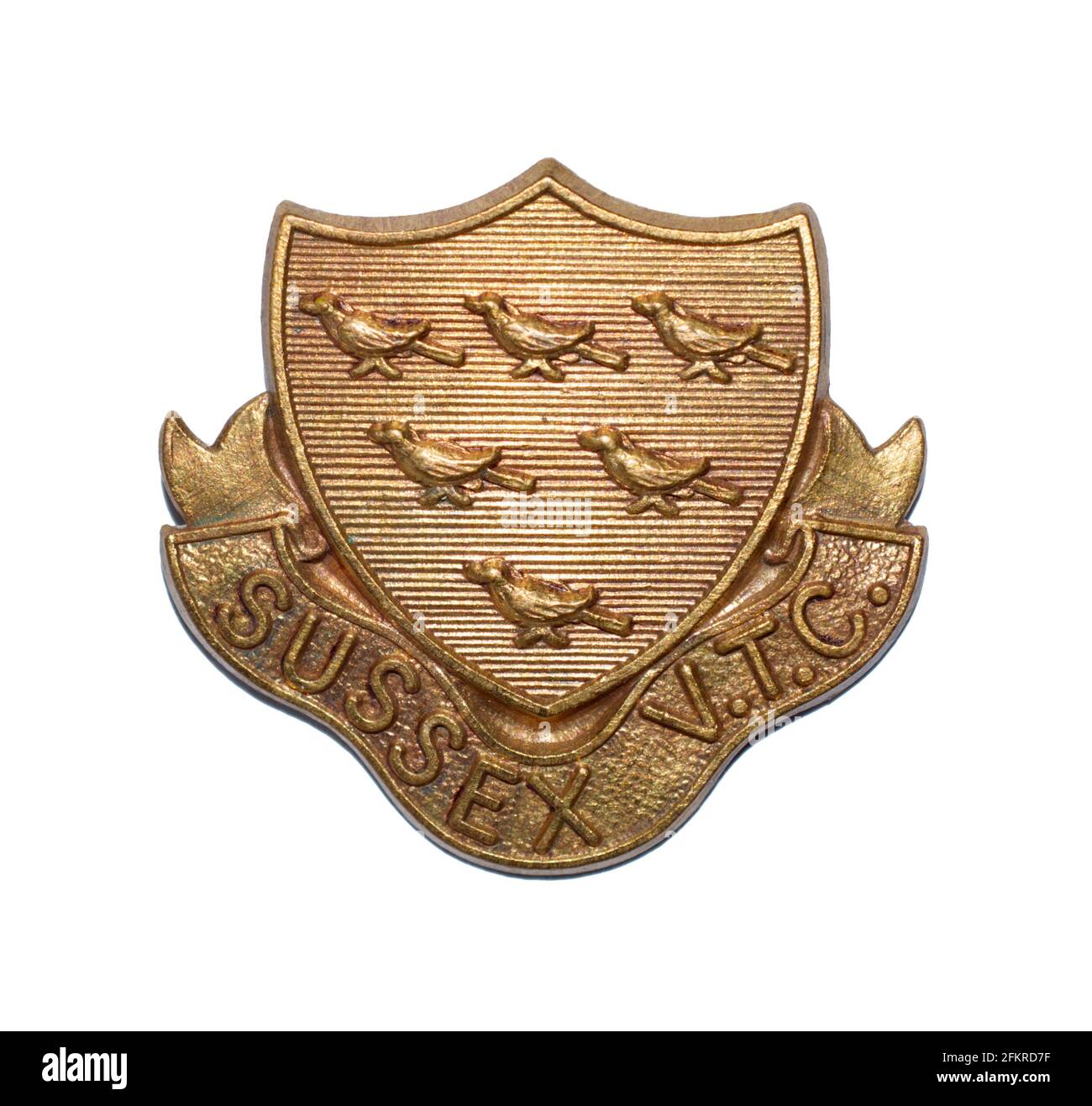 Una insignia de la gorra del Cuerpo de Entrenamiento Voluntario de Sussex, una unidad británica de la defensa del hogar de la Primera Guerra del Trabajo. La cresta muestra seis martlets, el emblema de Sussex. Foto de stock