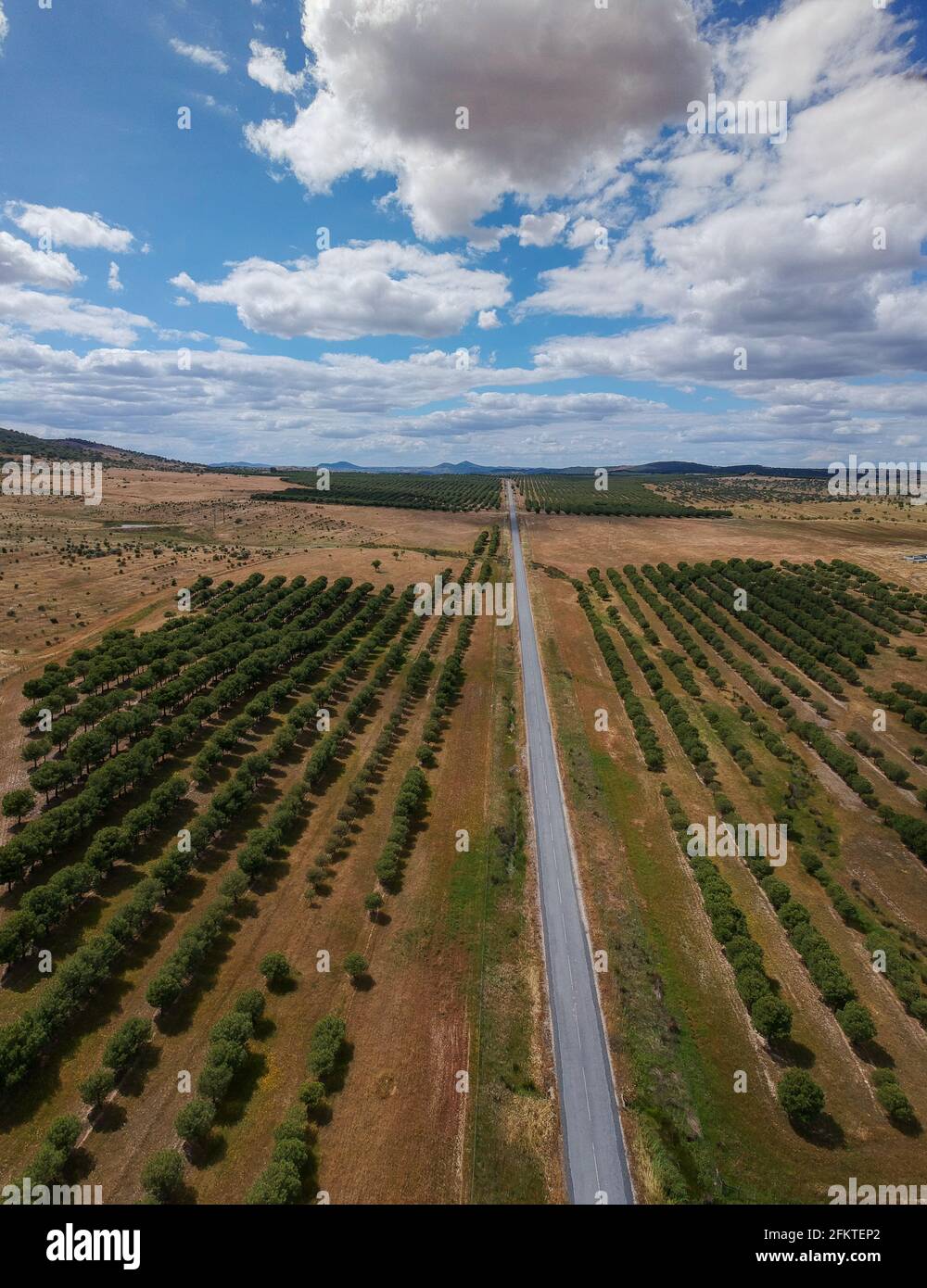 Vista aérea de una carretera rural en primavera. Foto de stock