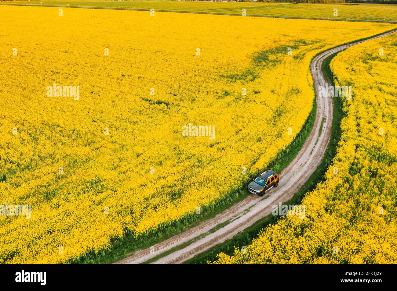 Gomel, Bielorrusia Vista aérea de Renault Duster coche SUV estacionado cerca de la carretera rural en Spring Field paisaje rural. Foto de stock