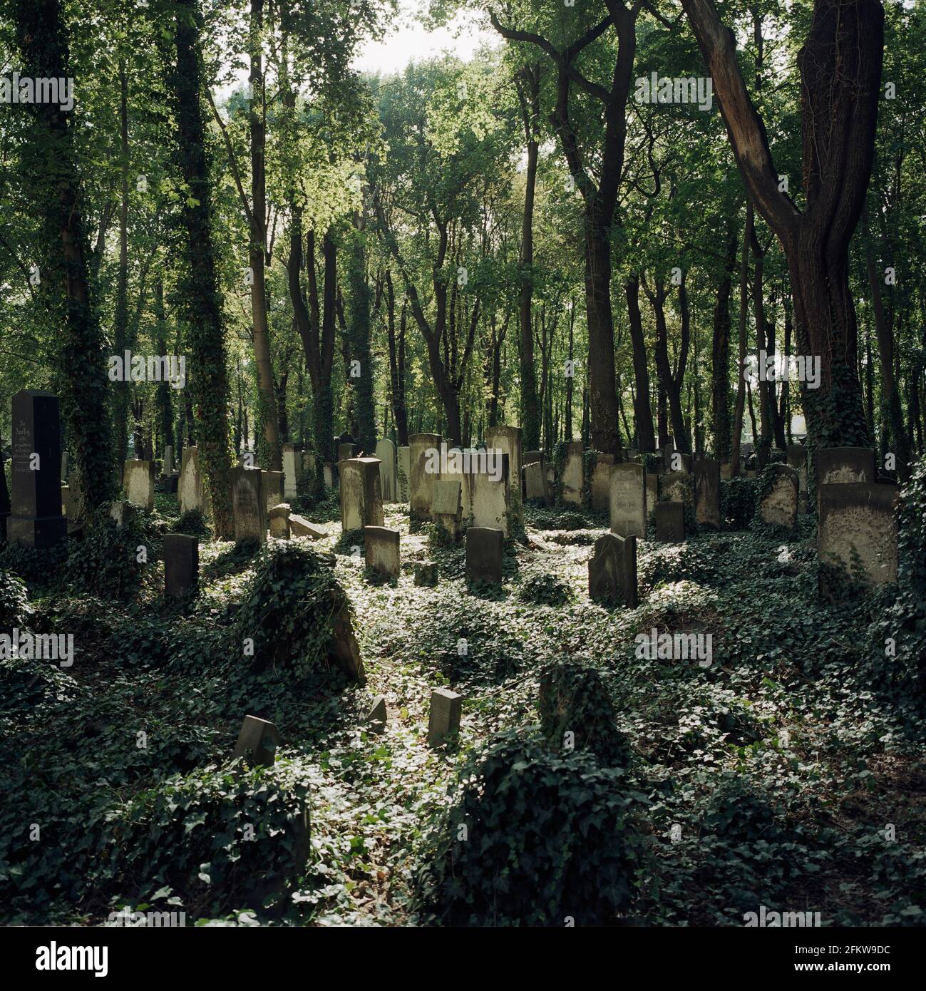Berlín. Alemania. Cementerio judío en Schönhauser Allee. 090831 fr10 Foto de stock