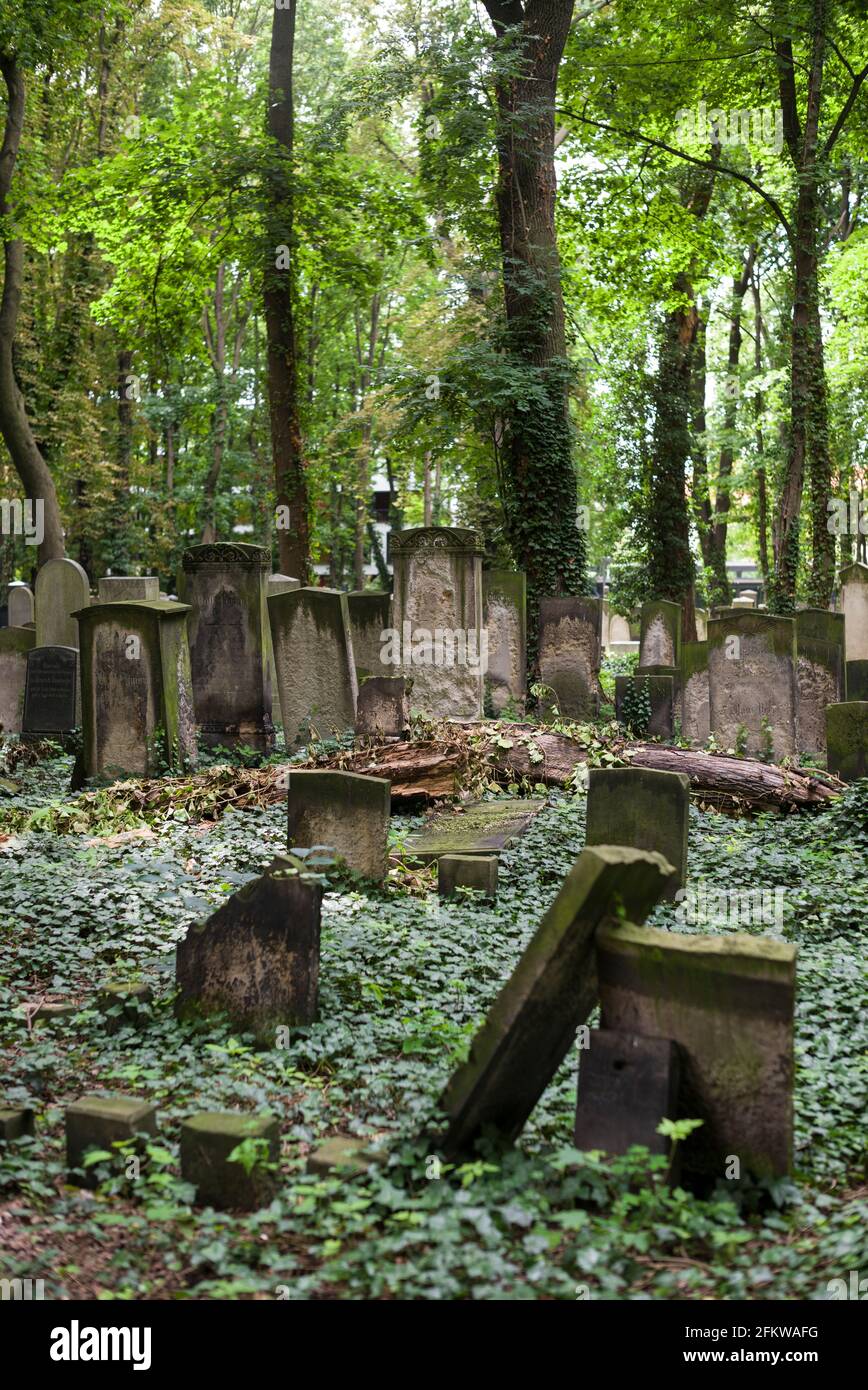 Berlín. Alemania. Cementerio judío en Schönhauser Allee. Foto de stock