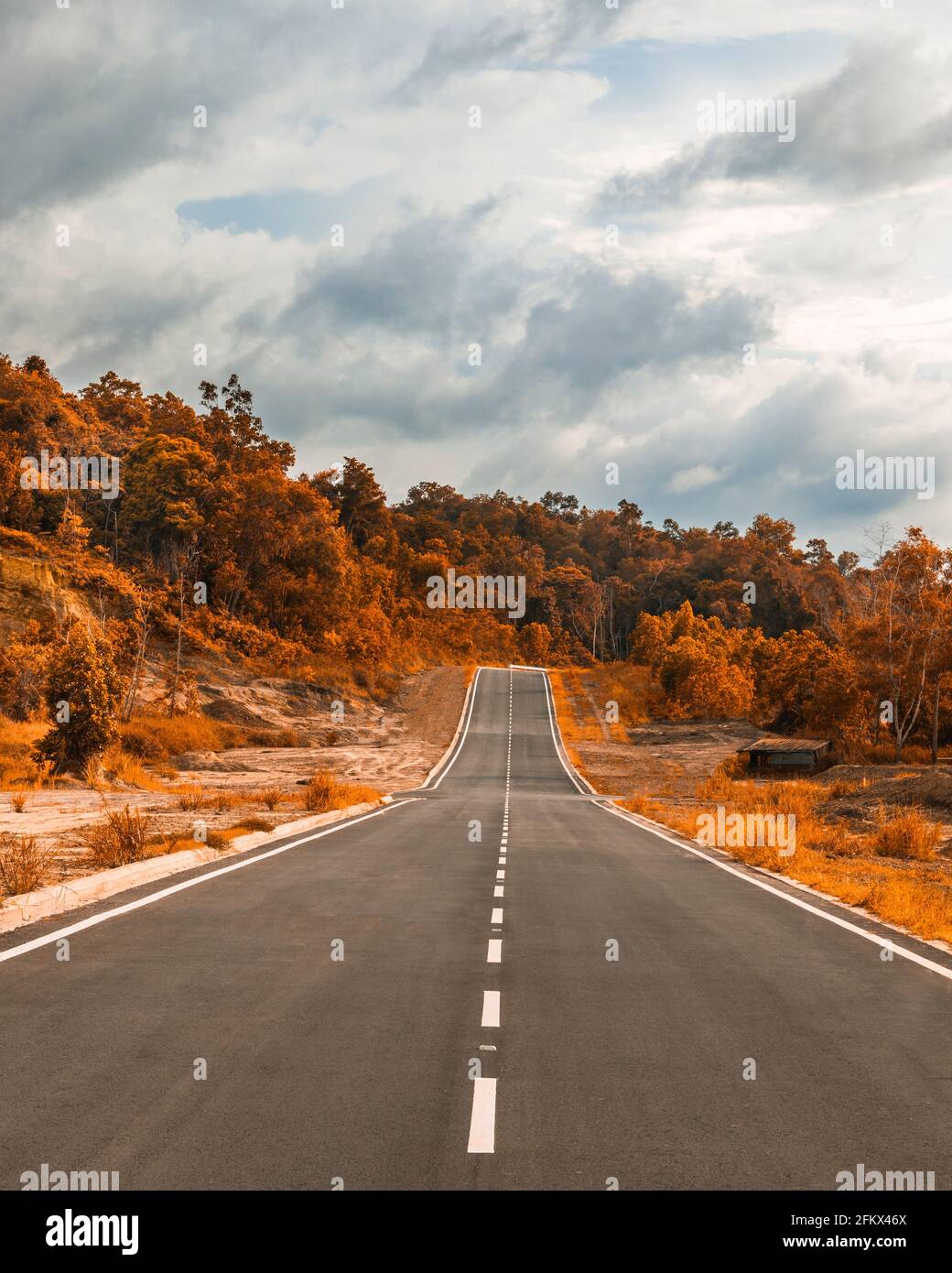 Una carretera bonita y limpia por Telanai en Brunei Darussalam. La imagen se edita para mirar otoño, no hay estaciones en Brunei Foto de stock