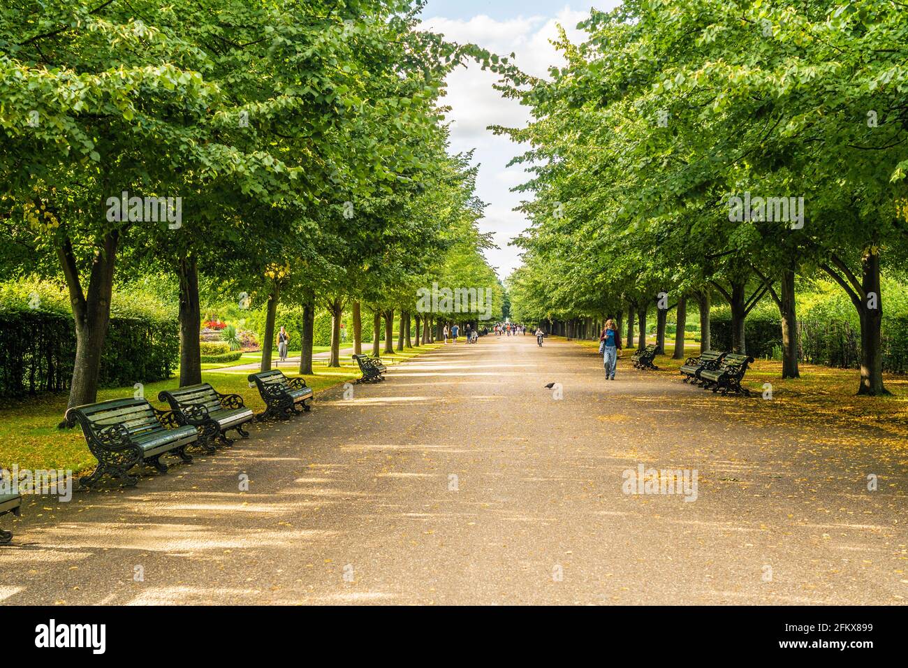 Julio de 2020. Londres. La Avenida en el parque Regents en Londres, Inglaterra, Reino Unido, Europa Foto de stock