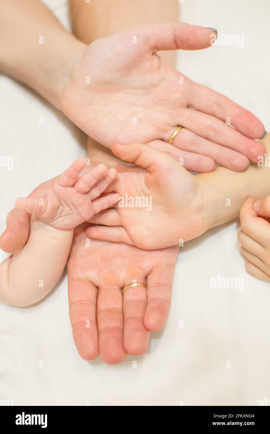 Cuatro Manos De La Familia Un Bebe Una Hija Una Madre Y Un Padre Concepto De Unidad Apoyo Proteccion Y Felicidad Fotografia De Stock Alamy