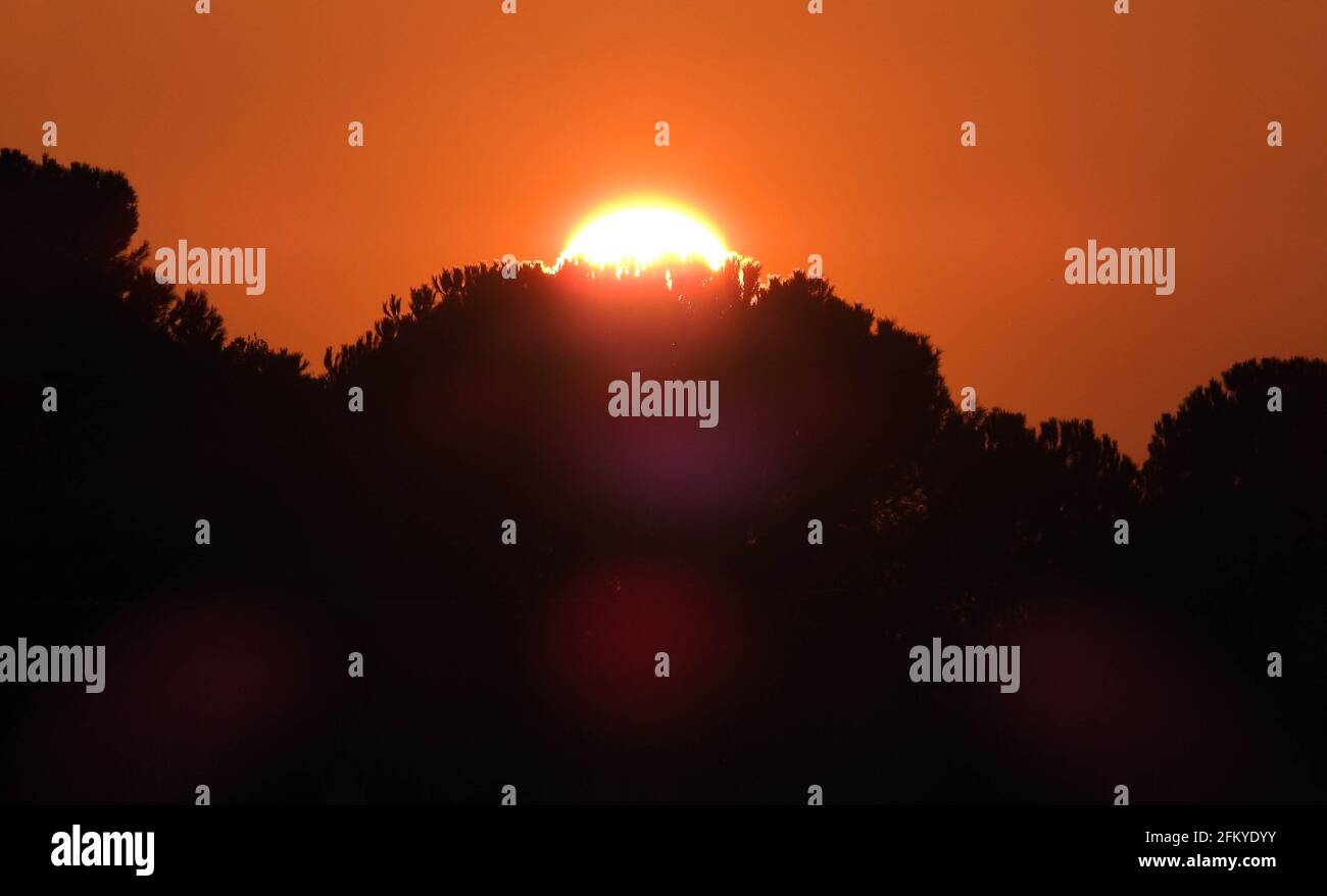 Sol durante la sugerente puesta de sol naranja y los árboles oscurecen la silueta Foto de stock