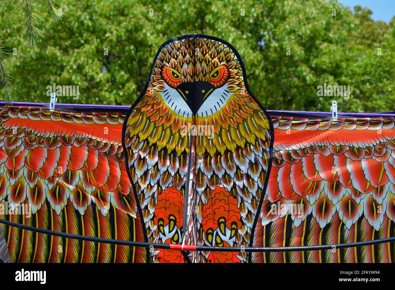 Diseño de pájaro cometa colgando para la venta, posiblemente un águila con  plumas detalladas y cara Fotografía de stock - Alamy