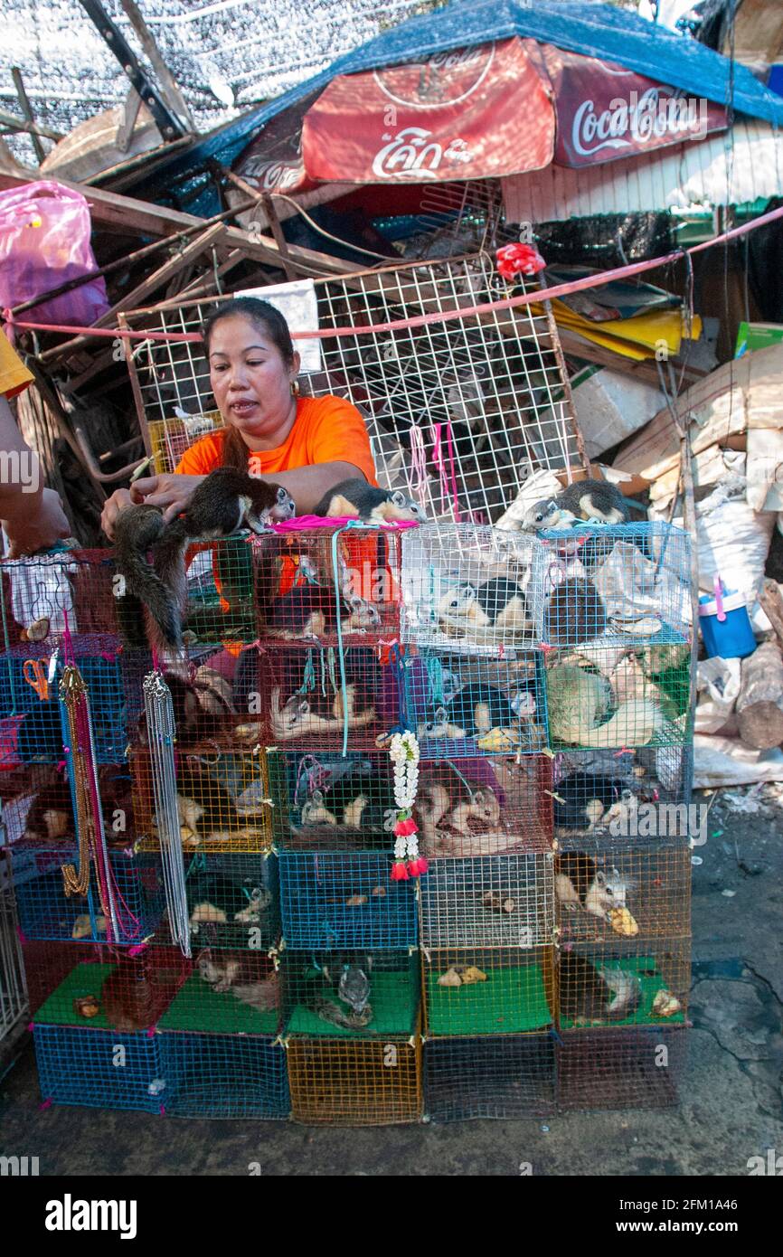 Animales salvajes a la venta en un puesto en el mercado de animales en Bangkok, Tailandia Foto de stock