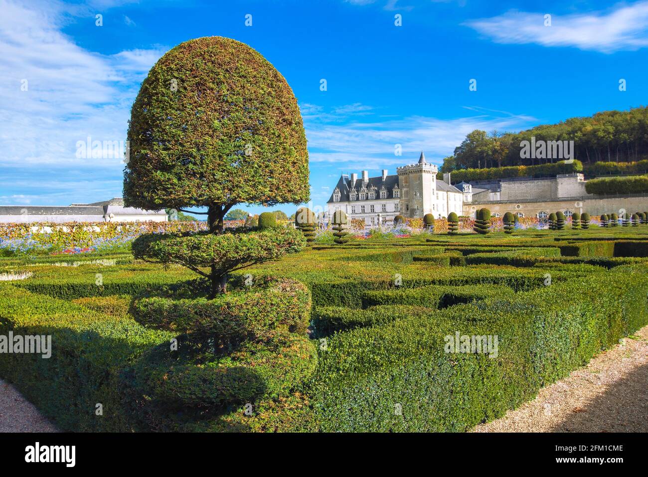 Castillo y jardines de Villandry, valle del Loira Foto de stock