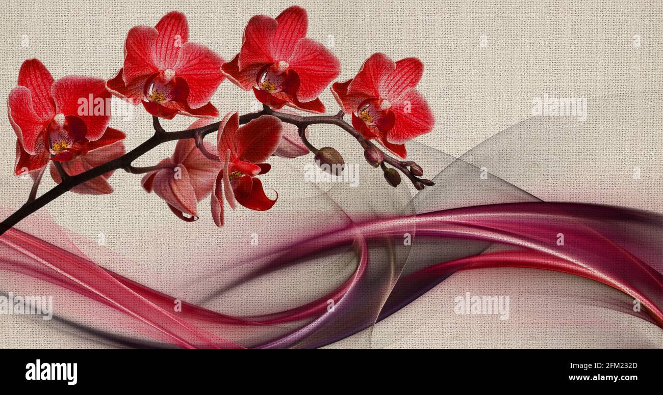 Orquideas Rojas Fotos e Imágenes de stock - Alamy