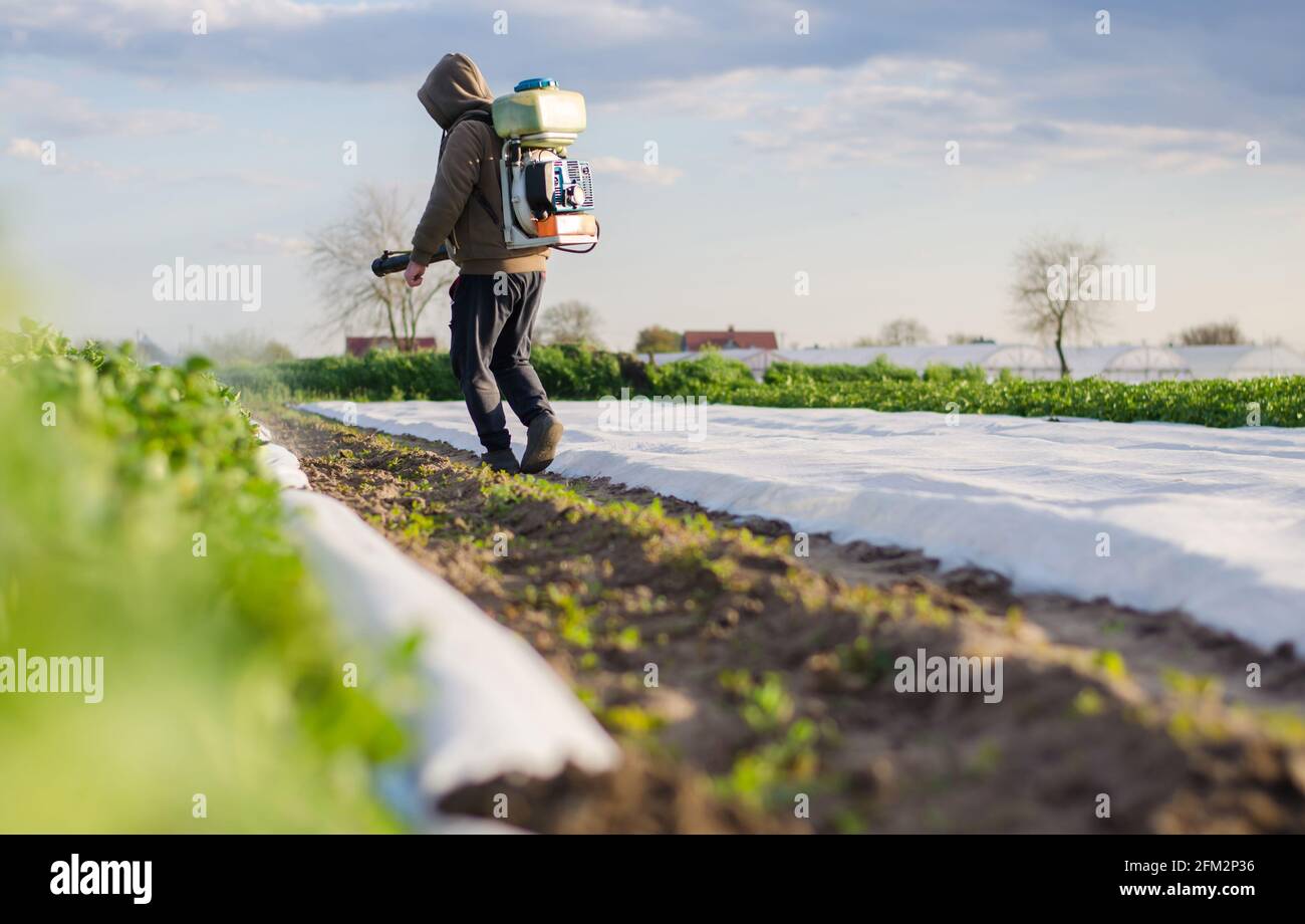 Un granjero procesa un campo de patatas de un rociador de niebla. Proteger los cultivos de plagas e infecciones fúngicas. Control sobre el uso de productos químicos tóxicos Foto de stock