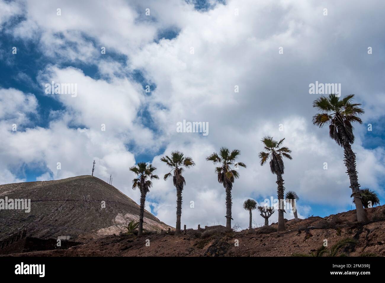 Gran Canaria, eine spanische Kanarische Insel vor der Nordwestküste von Afrika. El Sobradillo. Foto de stock