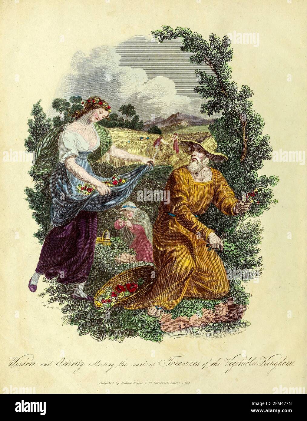 Sabiduría y Actividad Recogida de los Varios Tesoros del Reino Vegetal. Frontispiece del Vol 1 del libro La herbaria universal : o diccionario botánico, médico y agrícola : conteniendo una cuenta de todas las plantas conocidas en el mundo, arreglado según el sistema linneano. Especificando los usos a los que son o pueden ser aplicados por Thomas Green, Publicado en 1816 por Nuttall, Fisher & Co. En Liverpool e Impreso en la Caxton Press por H. Fisher Foto de stock