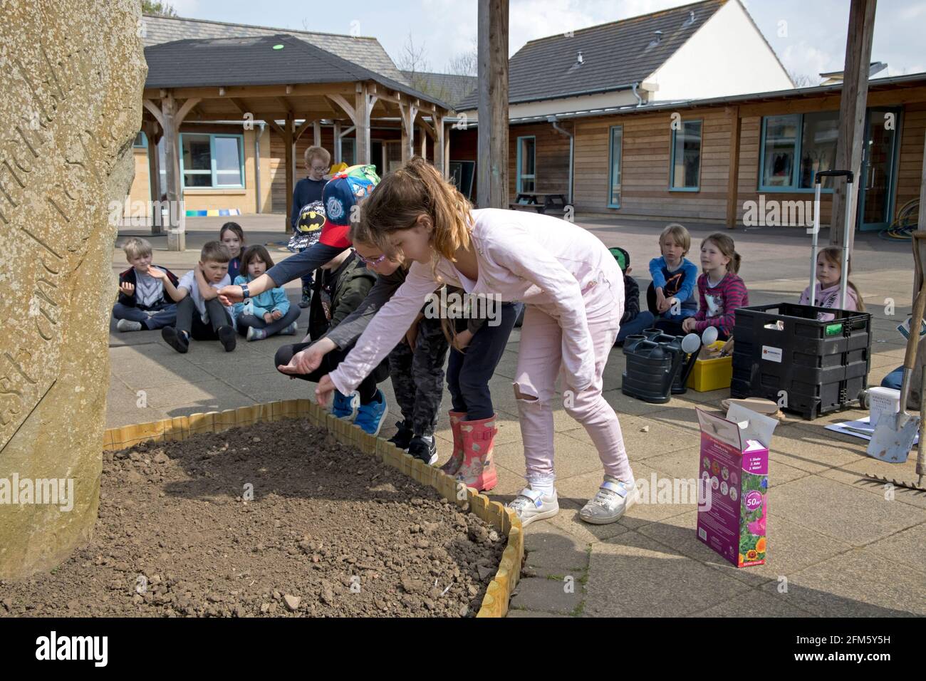 Niños de primaria plantando semillas de flores silvestres Escuela Mickleton Reino Unido Foto de stock