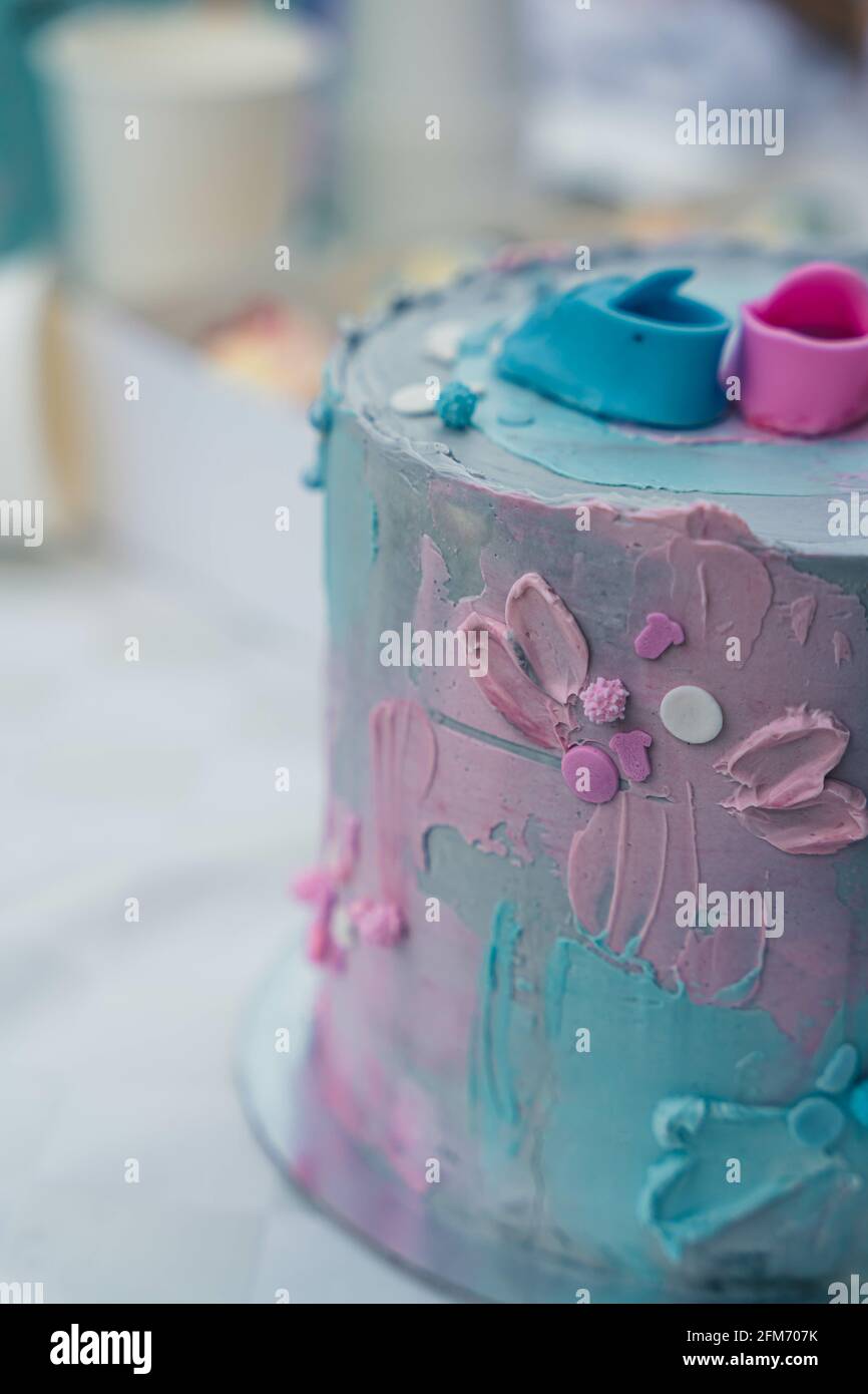 Primer Plano De Un Pastel Para Una Fiesta De Revelacion De Genero Fotografia De Stock Alamy