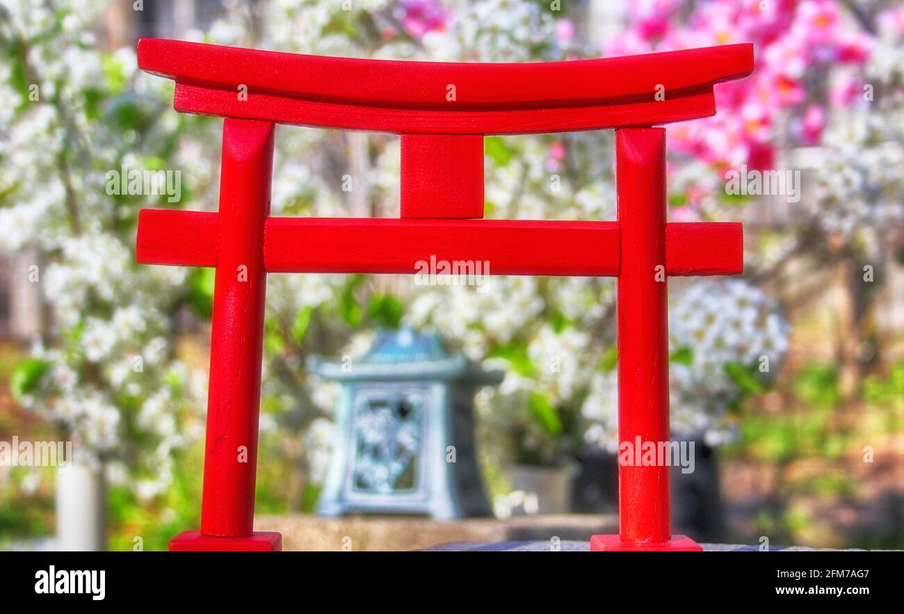 Puerta torii con flores de cereza y de pera en el fondo Foto de stock