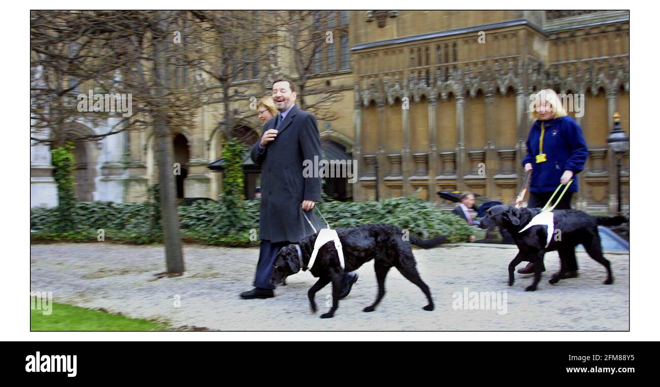 David Blunkett con el perro guía saliente Lucy seguido por el nuevo perro guía Sadie, manejado por Val Woolrich que entrenó al nuevo perro, llegando a una fotocall que introdujo Sadie a la prensa.pic David Sandison 24/1/2002 Foto de stock