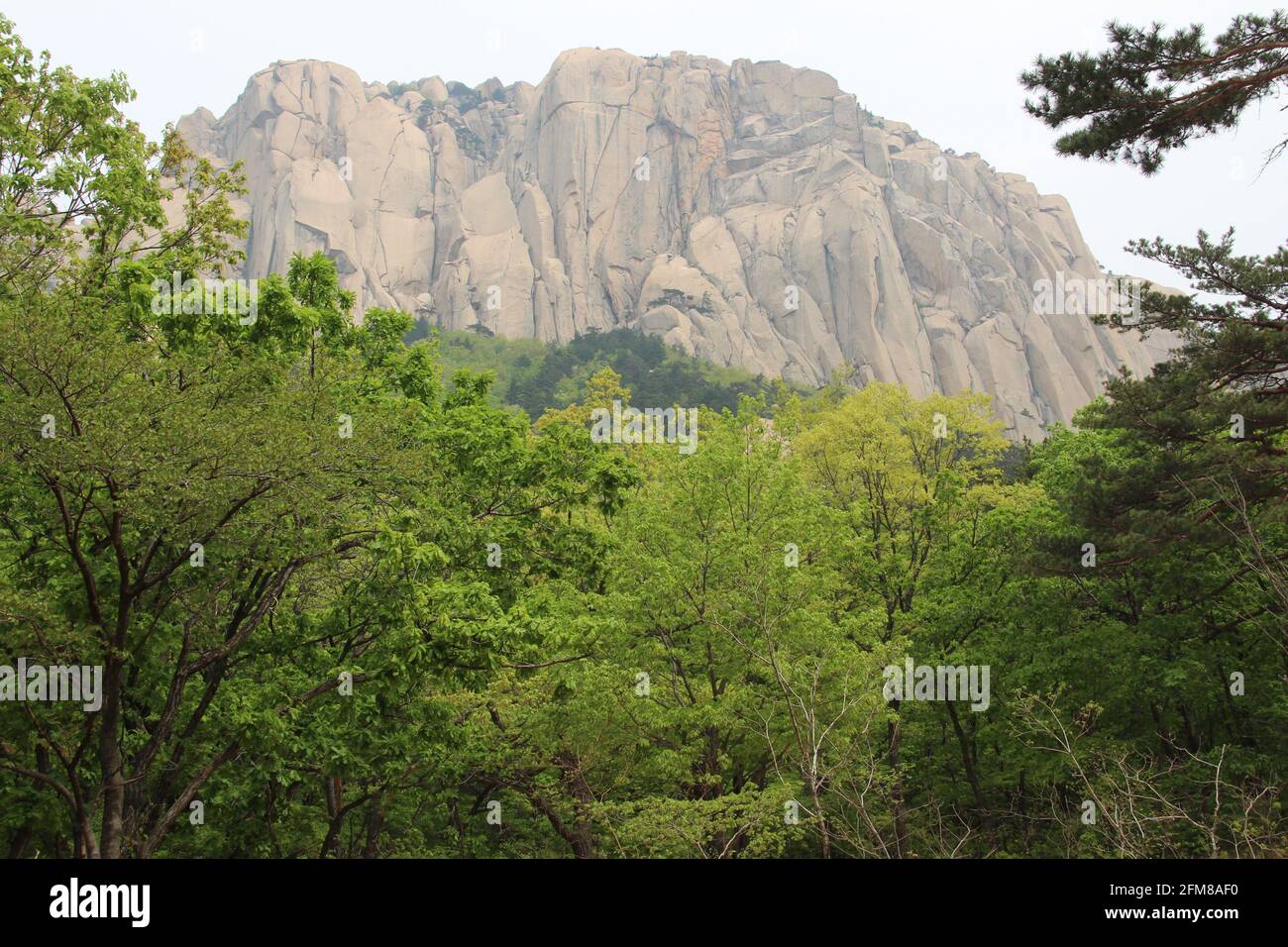 Ulsanbawi la roca con seis picos en la cima de Montaña Seorak en el Parque Nacional de Seoraksan en Corea del Sur Foto de stock