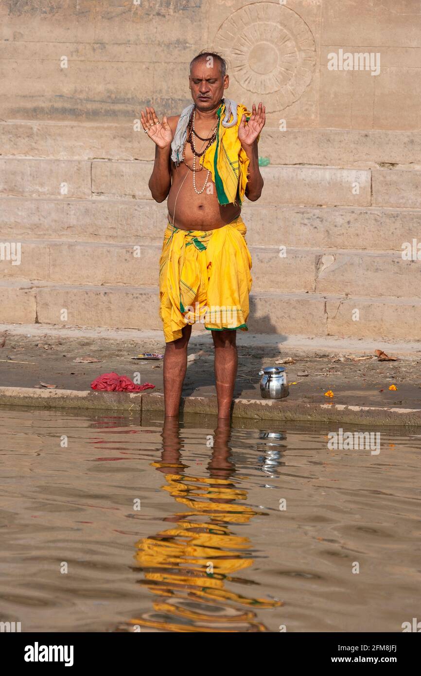 Devoto Hindú Bañándose En El Río Santo Ganges En Los Ghats Hindúes En Varanasi Norte De La 