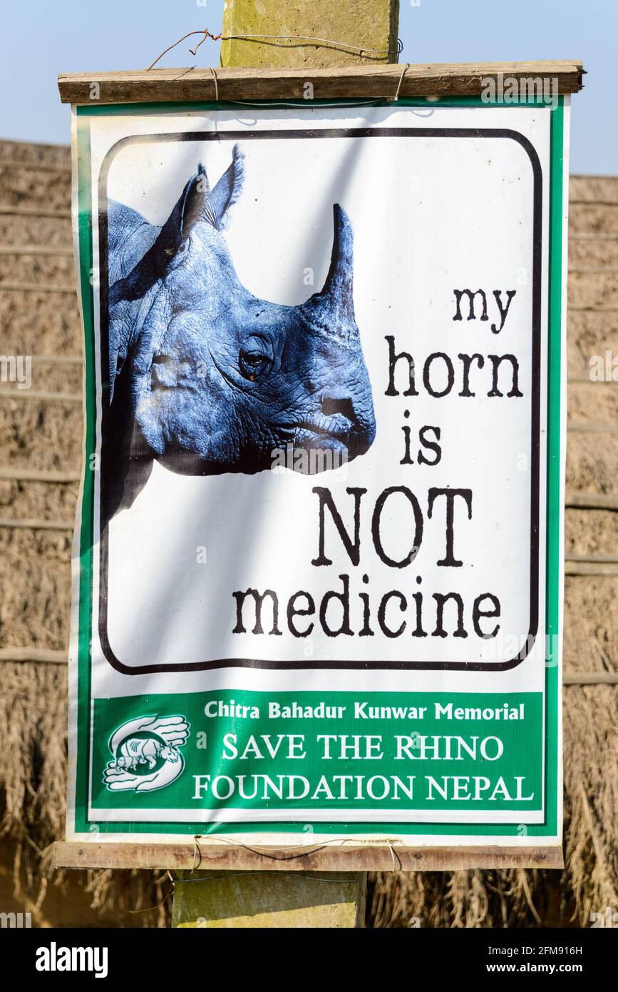 SAURAHA, NEPAL - 23 DE DICIEMBRE de 2014: Un consejo de Save the Rhino Foundation Nepal dice 'mi cuerno no no es mezquina'. El rinoceronte es una especie en peligro de extinción. Foto de stock