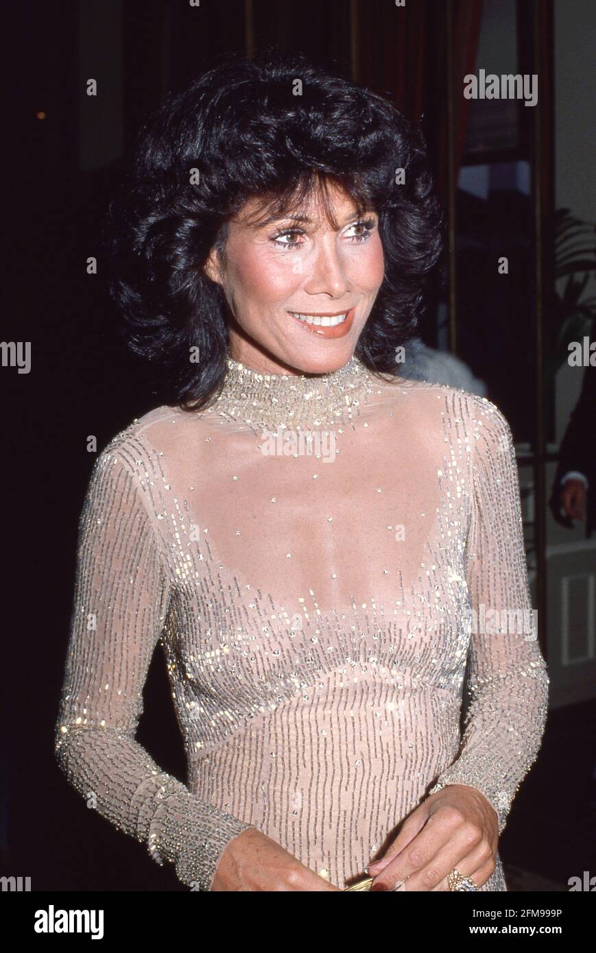 Crédito de Michele Lee Circa 1980: Ralph Dominguez/MediaPunch Foto de stock