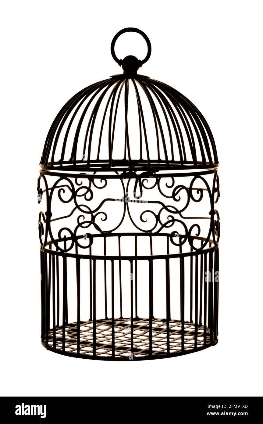 jaula de aves vacía de metal negro vintage aislada Fotografía de stock -  Alamy