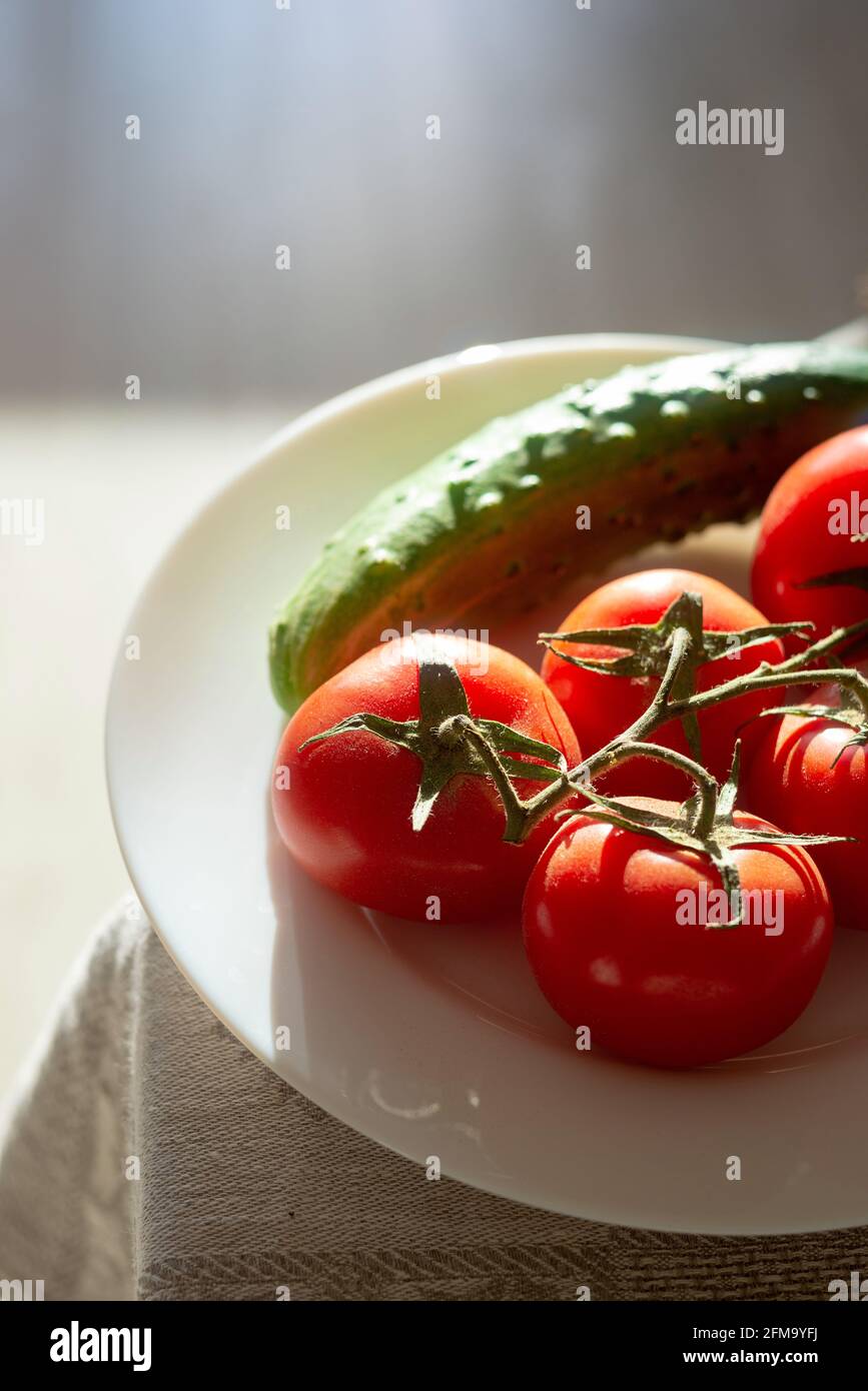 Tomates en una rama y pepino en un plato blanco. Foto retroiluminada. Copspace Foto de stock