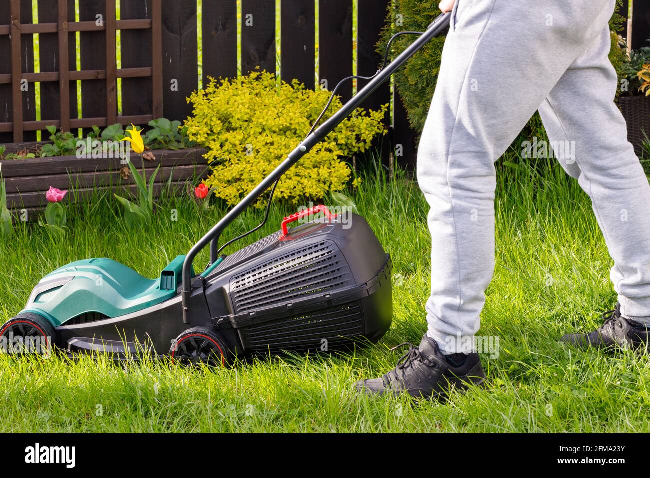 un hombre corta la hierba en el jardín con un segadora eléctrica para  césped Fotografía de stock - Alamy