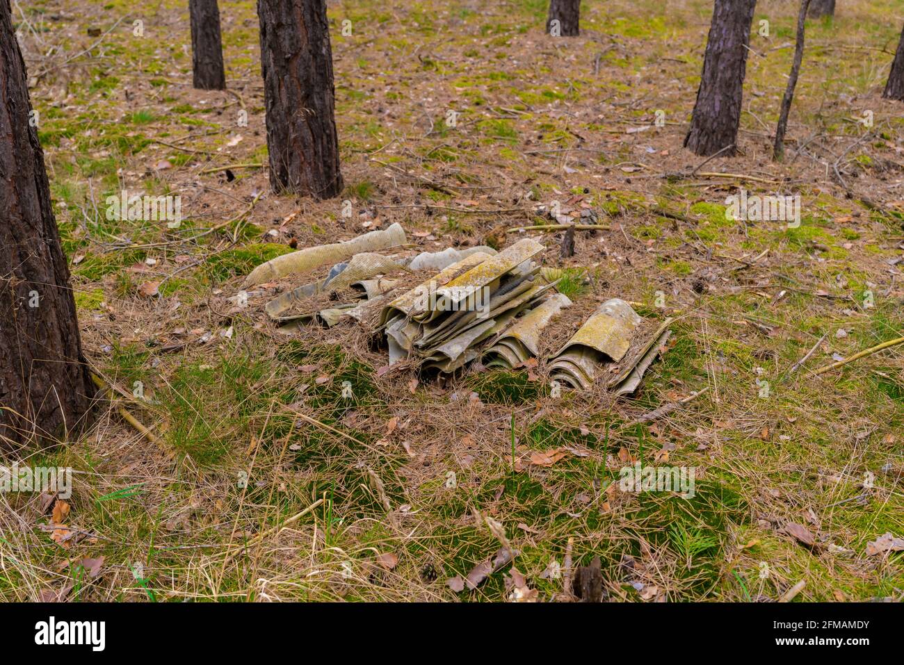 Desechos de asbesto eliminados ilegalmente en el bosque, desechos tóxicos Foto de stock