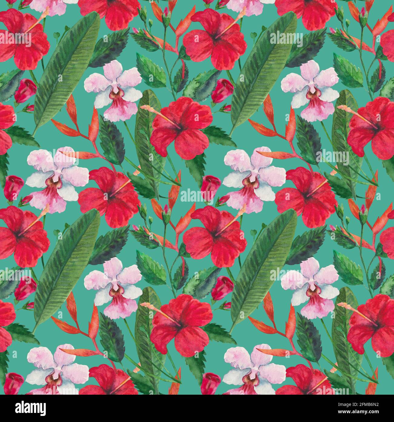 Patrón tropical sin costuras con flores rojas hibiscus, orquídeas y hojas. Ilustración de acuarela Fotografía de stock - Alamy Patrón tropical sin costuras con flores rojas hibiscus, orquídeas y hojas. Ilustración de acuarela Fotografía de stock - Alamy