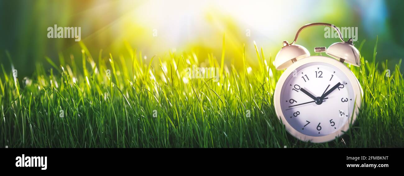 Reloj despertador blanco en hierba por la mañana Foto de stock