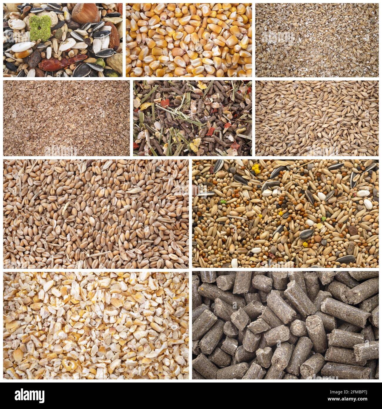 cuadro compuesto de cereales para la alimentación animal Foto de stock