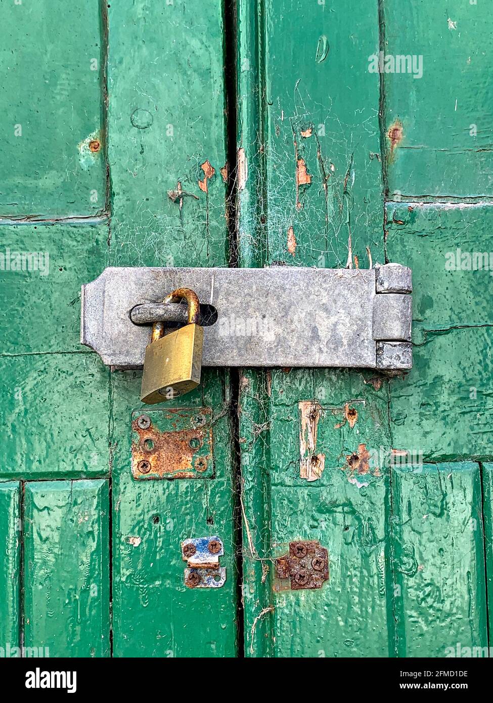 Puertas de madera pintadas de verde con cierre de seguridad, grapas y candado de latón Foto de stock
