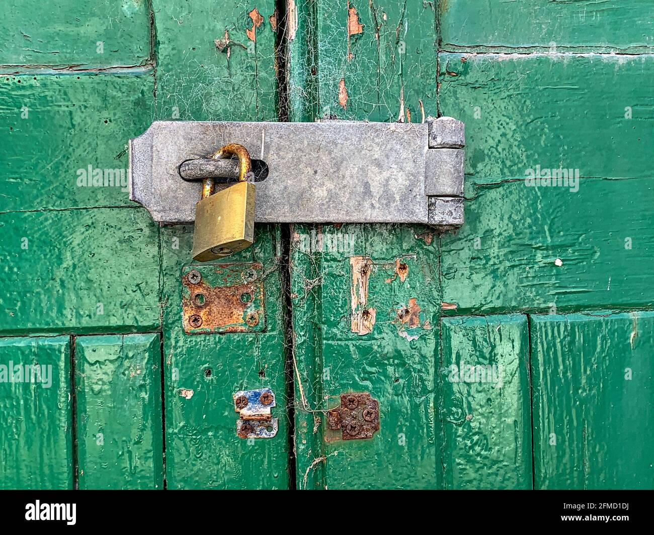 Puertas de madera pintadas de verde con cierre de seguridad, grapas y candado de latón Foto de stock