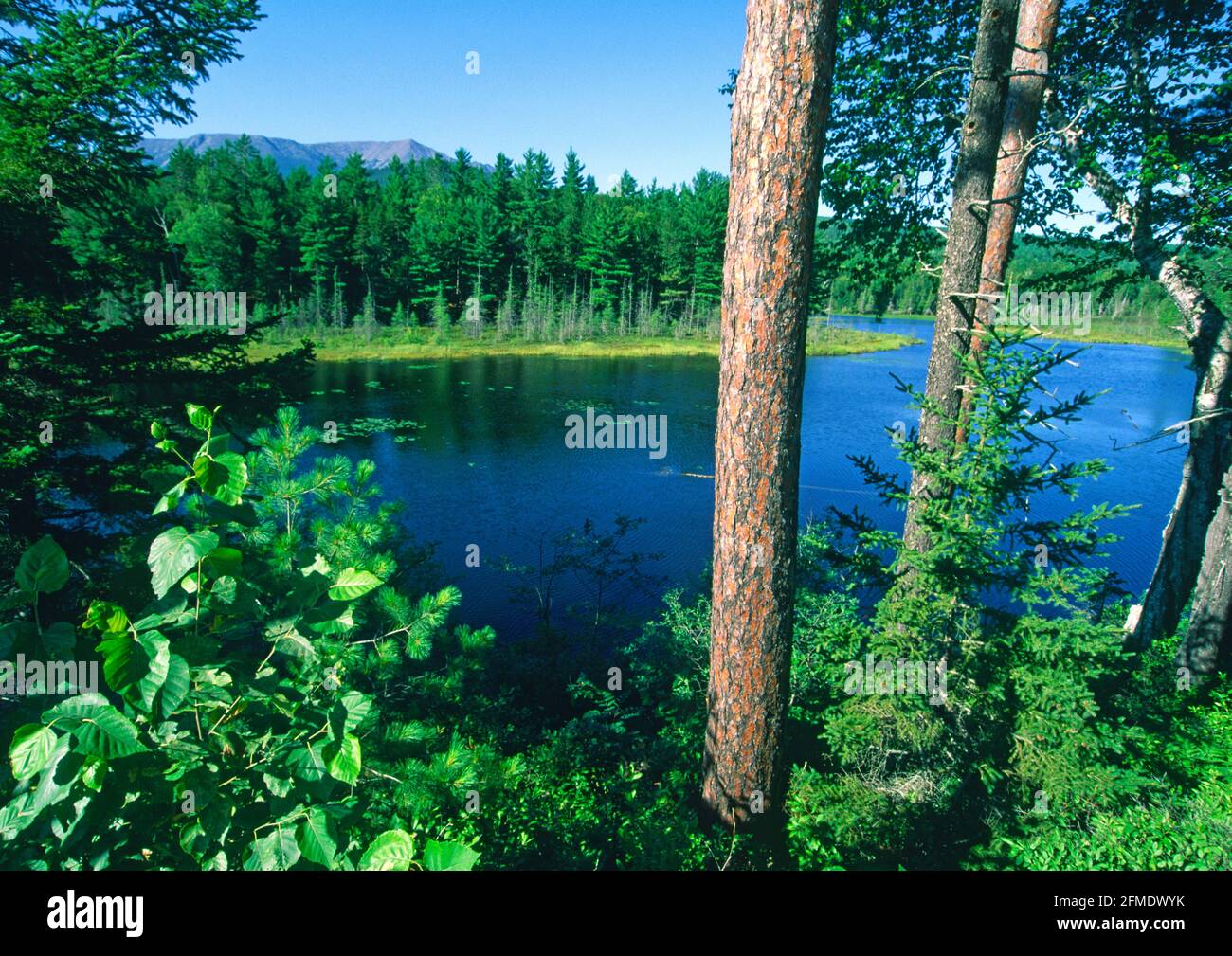 río pnobscot y monte katadin en el parque estatal de baxter maine en Estados Unidos Foto de stock