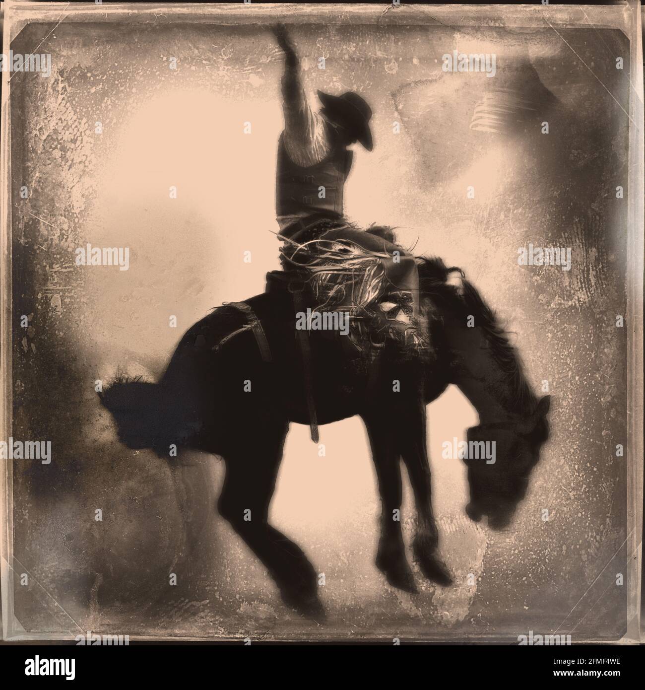 Vintage Cowboy Riding Bucking Bronco en la fotografía de la placa húmeda del rodeo Arte Foto de stock