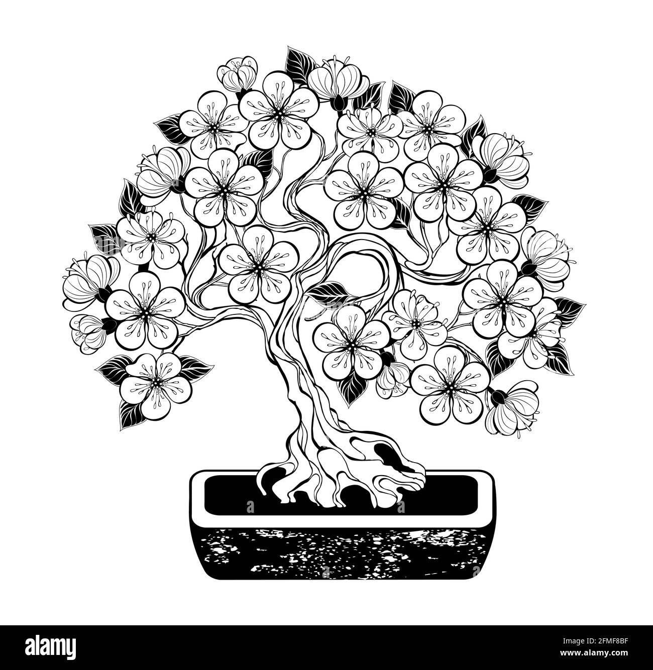 Contour bonsai, cerezo japonés con flores de tronco curvado y flores sakura, contorneadas y elegantes sobre fondo blanco. Col Ilustración del Vector