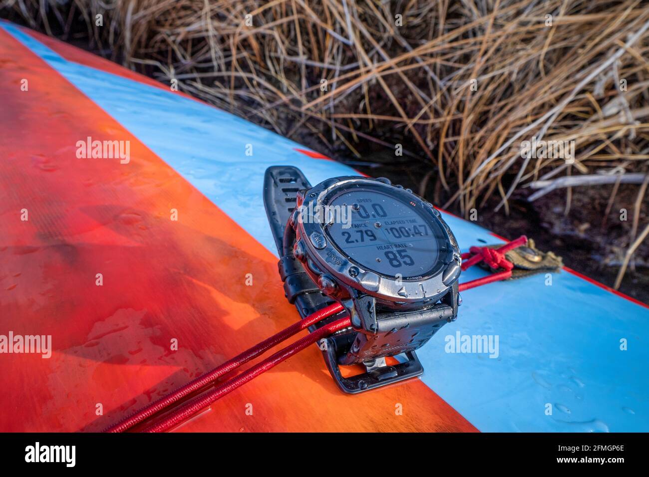 Fort Collins, CO, EE.UU. - 10 de abril de 2020: Garmin fenix Pro 6X reloj  solar deportivo en una cubierta de pie de tabla de surf de remo con la cara  de