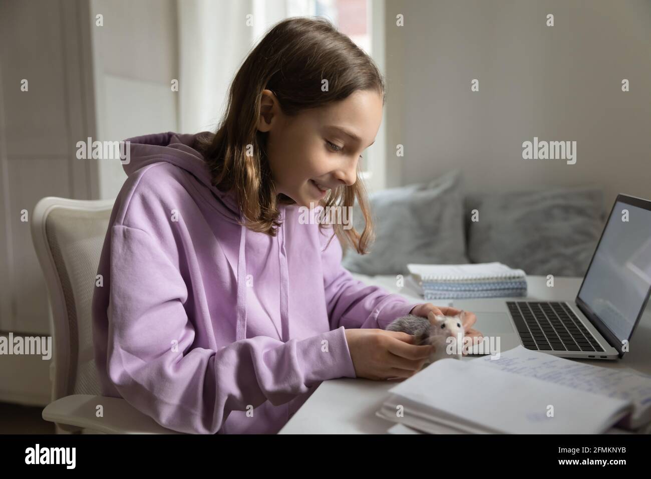 Niña adolescente sonriente jugando con animal doméstico, sentada en la mesa. Foto de stock