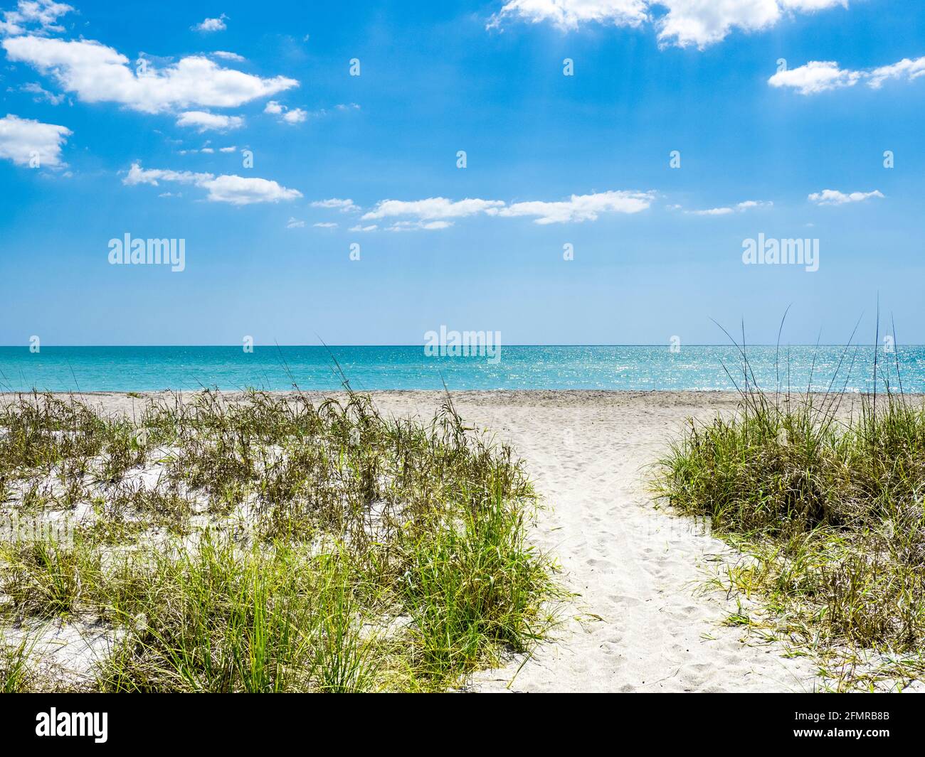 Camino vacío a la playa en el Golfo de México En Venecia, Florida, EE.UU Foto de stock