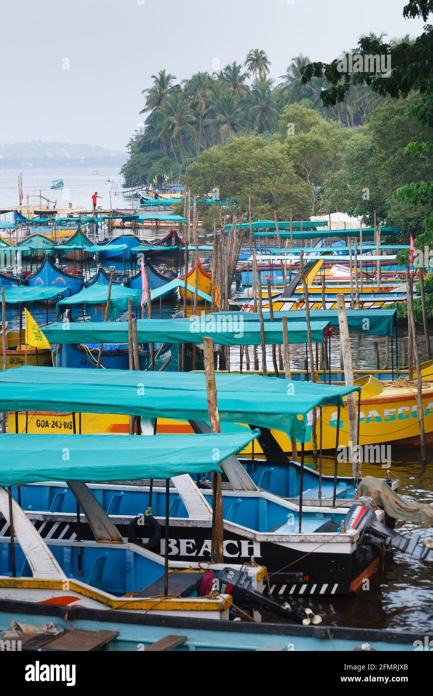 PANAJI, INDIA - 06 de noviembre de 2011. Coloridos barcos turísticos amarrados en el río Nerul, Candolim, Goa Foto de stock