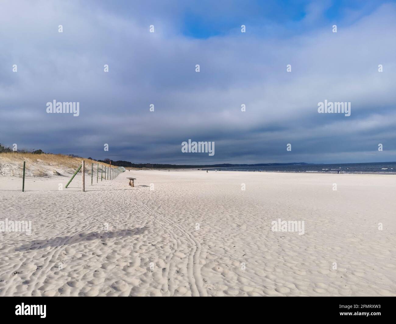 Mar Báltico en invierno, día frío, gaviotas y cisnes cerca del agua, Swinoujscie, Polonia Foto de stock