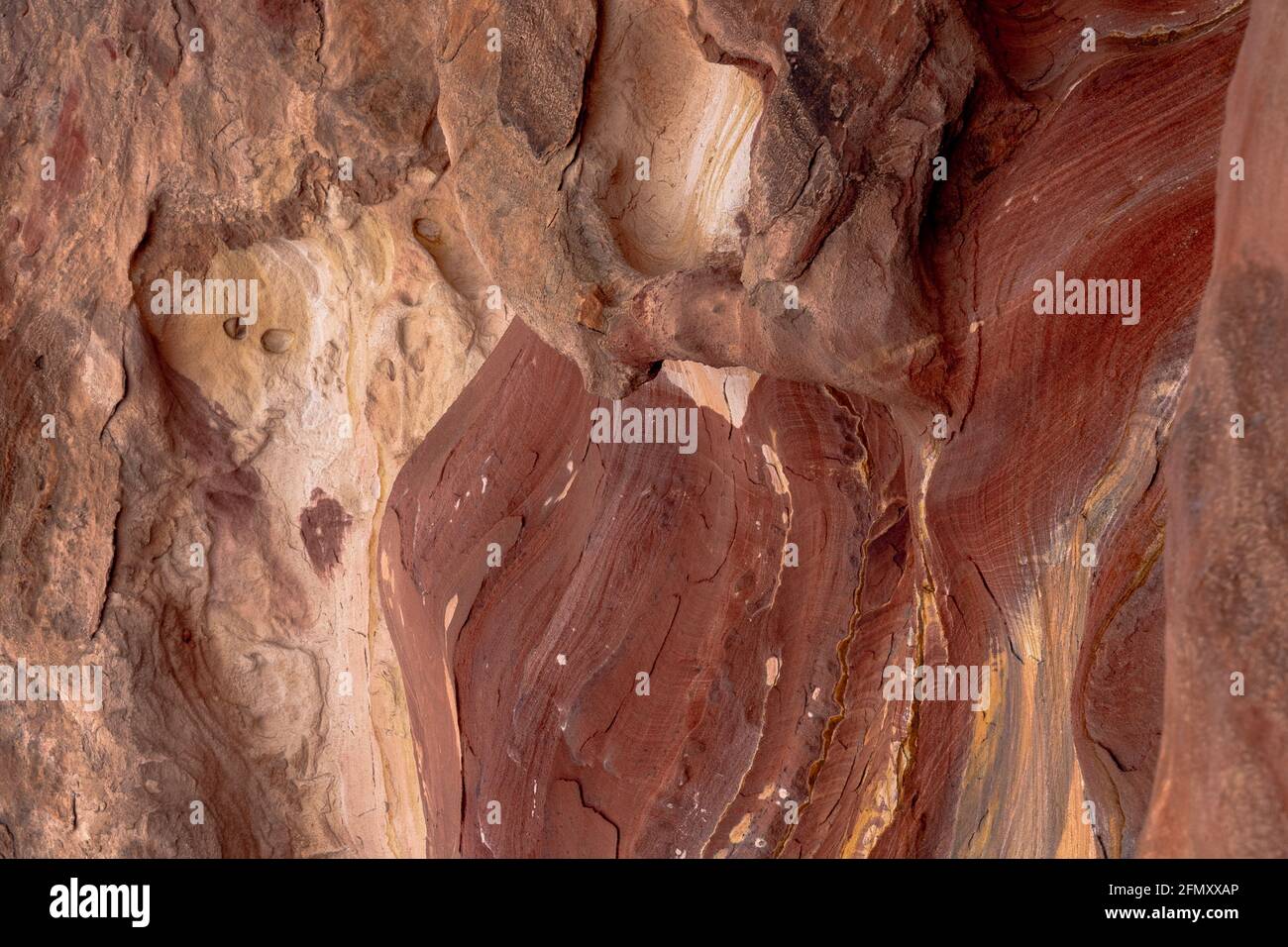 Arenisca roja-rosada multicolor con signos de desgaste y erosión, patrones y texturas de formación de rocas creadas por óxidos de hierro y manganeso Foto de stock