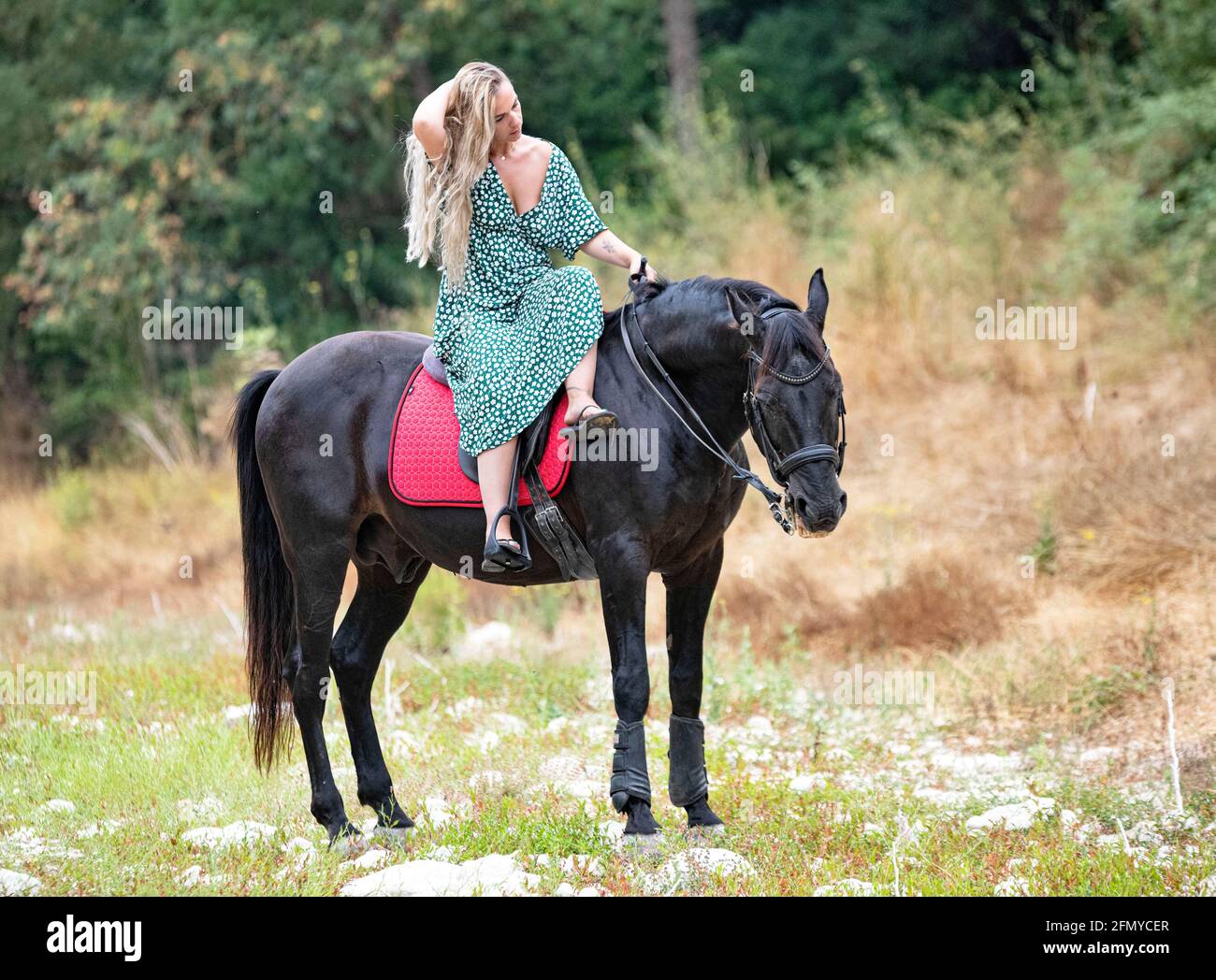 la chica de montar a caballo está caminando con su caballo negro Foto de stock