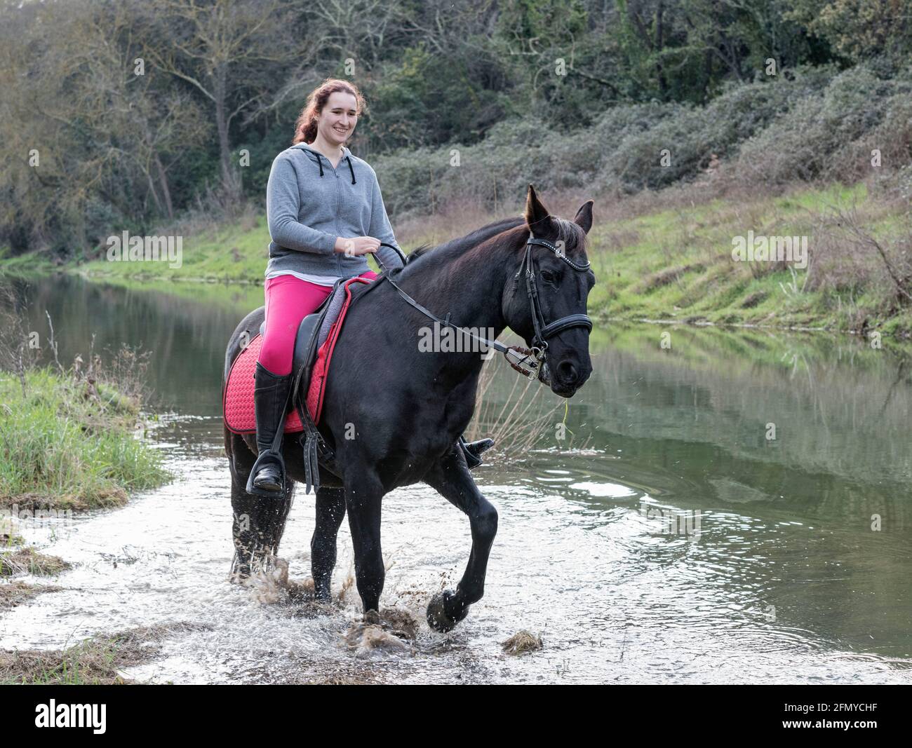 Chica de equitación están capacitando a su caballo negro Foto de stock