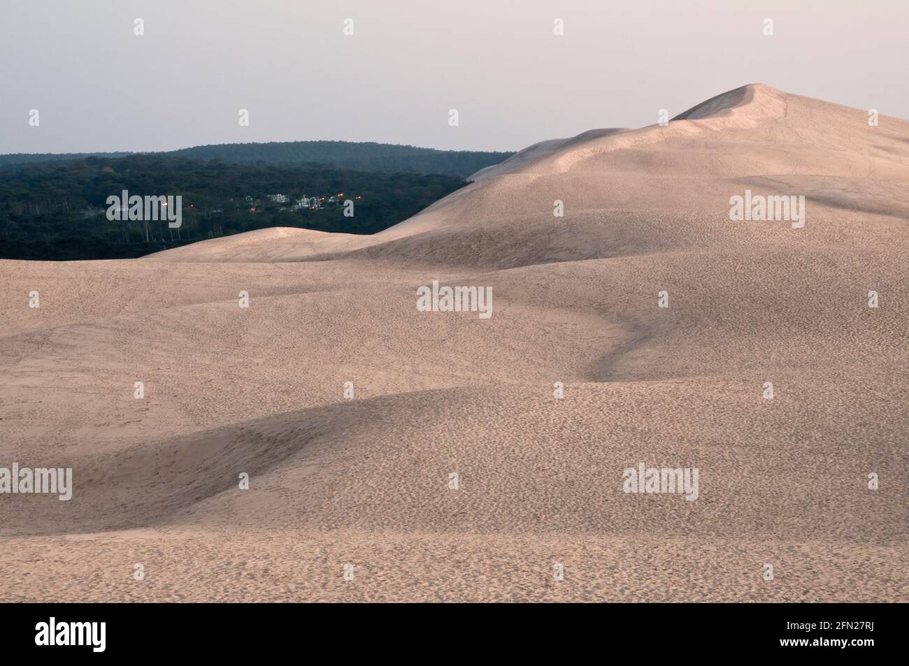 Dune du Pyla (107m sobre el nivel del mar) al atardecer, la duna más alta de Europa, ubicado al sur de la bahía de Arcachon, Gironde (33), región Nouvelle-Aquitaine, Franc Foto de stock