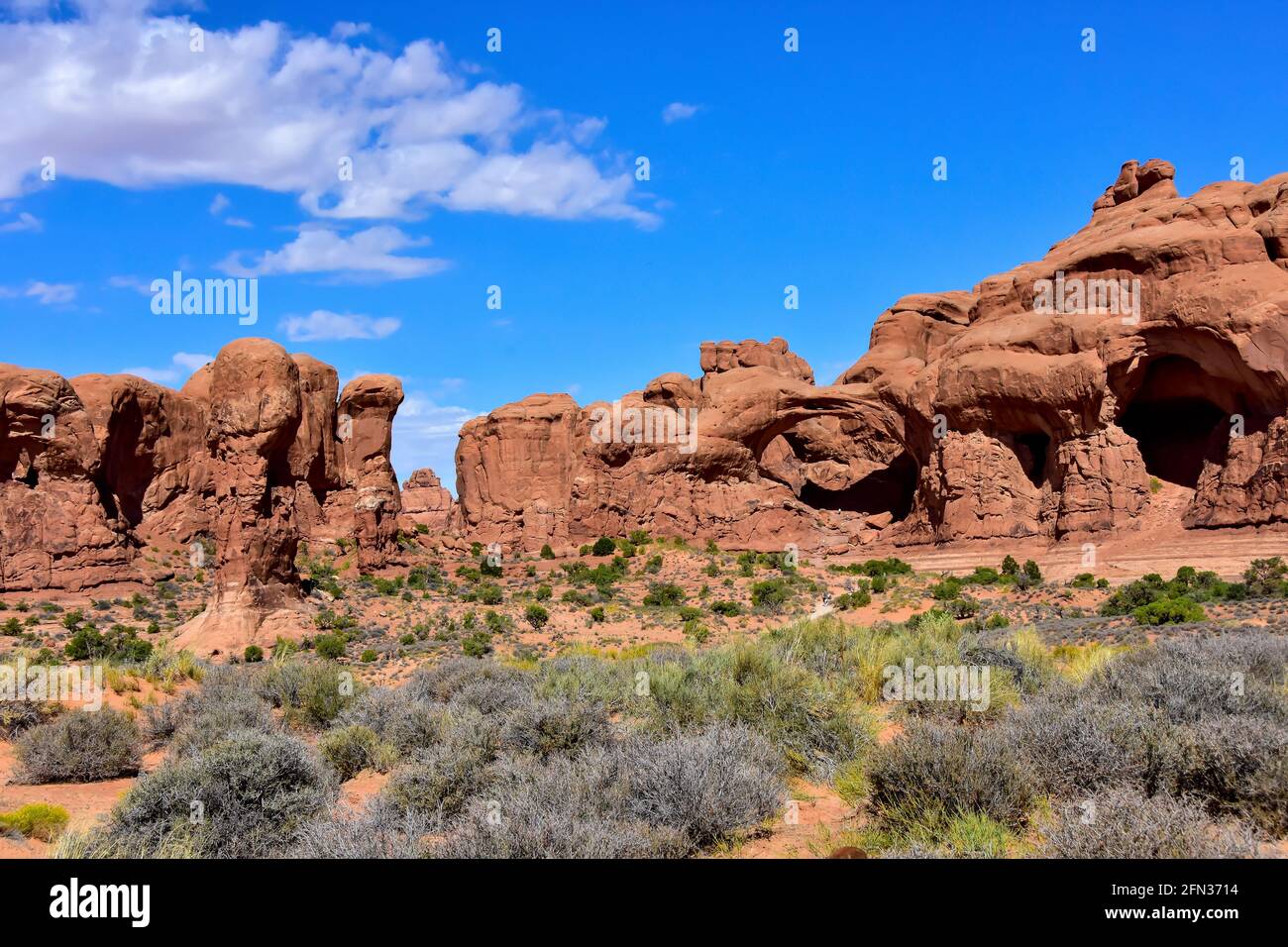 Rocas rojas y pinceles en el Parque Nacional Arches, cerca de Moab, Utah Foto de stock