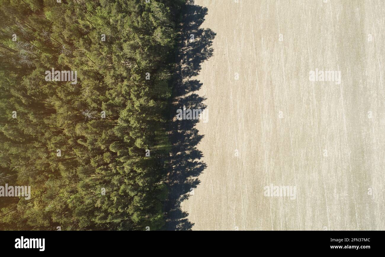 Medio campo marrón vacío con bosque por encima de la vista de drone superior en el día soleado Foto de stock