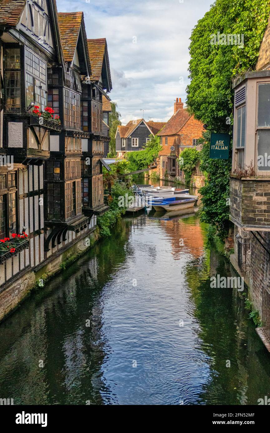 El río Great Stour en la histórica ciudad de Canterbury en Kent, Reino Unido. Viviendas construidas con madera junto a casas construidas con ladrillos y negocios. Foto de stock